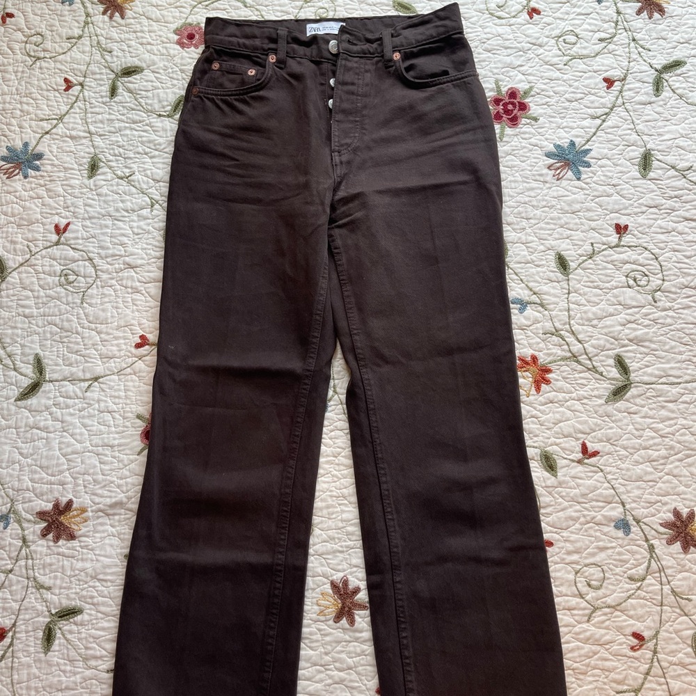 Brown Zara Pants